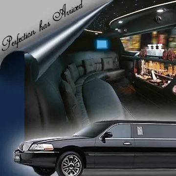 LIMOUSINE SERVICE & TRANSPORT LLC