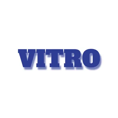 Vitro Mobile Detailing