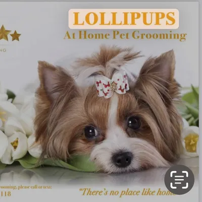 Lollipups Pet Grooming