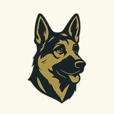 Rambo Investigations, LLC