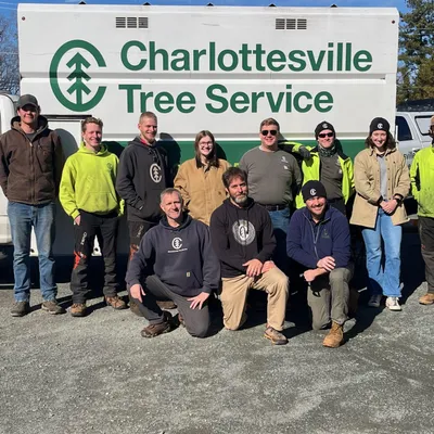 Charlottesville Tree Service