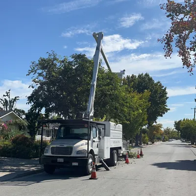 Bill's Tree Care & Landscape, Inc.