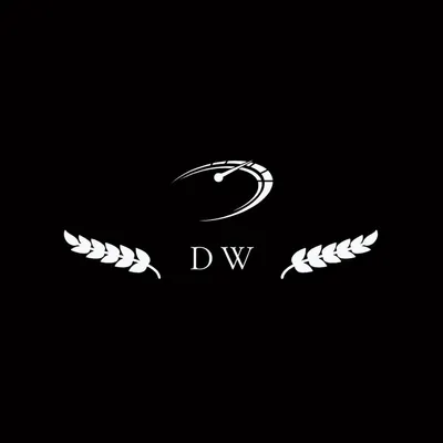 DW AUTOMOTIVE