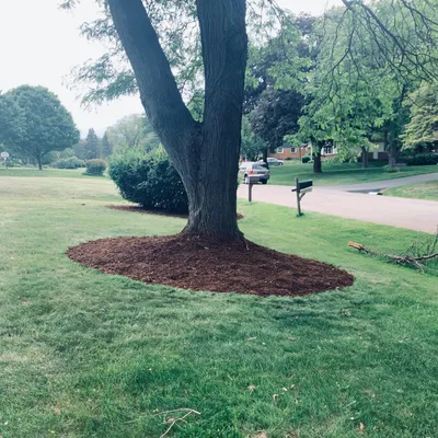 MowMeDown Lawncare