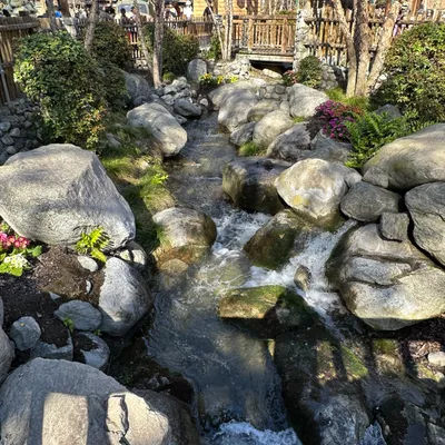 Alvaro's Landscaping