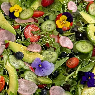 Gostosas Catering