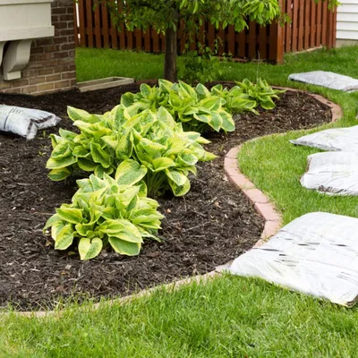Ramos landscaping