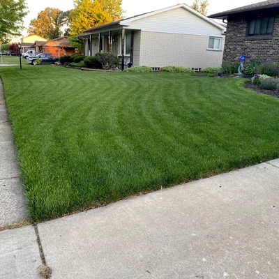AllinOne Lawn Care