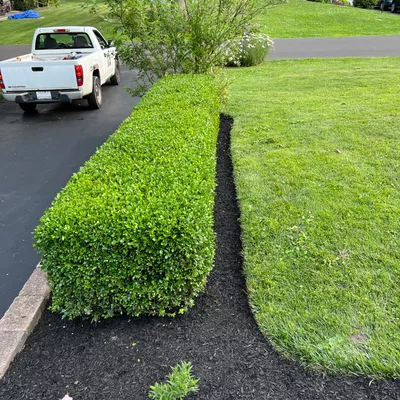 J.M.C Lawnmaintenance ?
