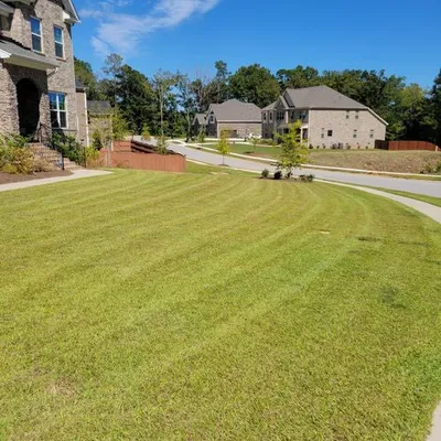 Yard Boys Detail Services