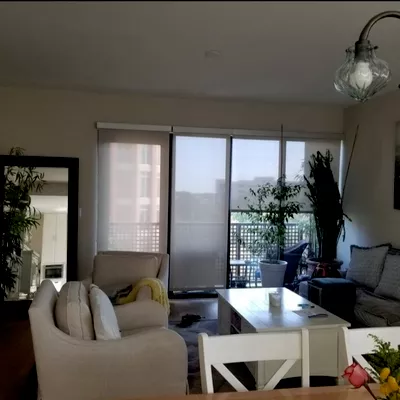 The cleaner LLC