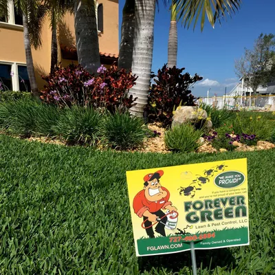 Forever Green lawn and pest