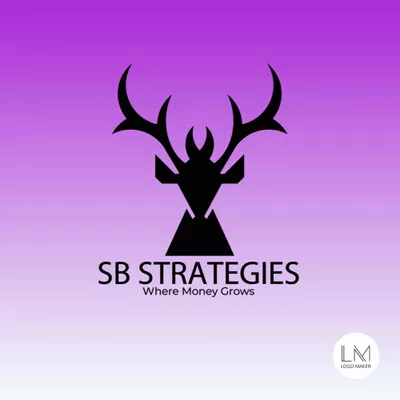 SB Strategies LLC