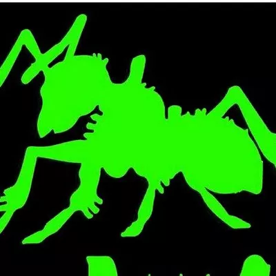 Potomac Pest and Termite Control