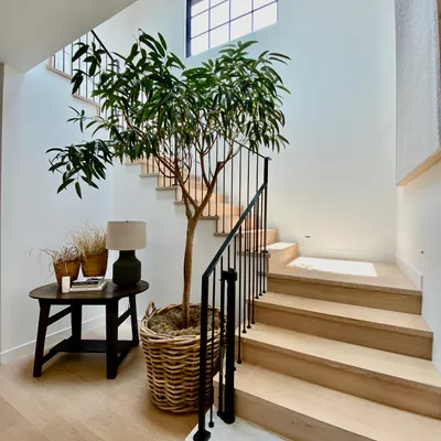 Vesna House Cleaning