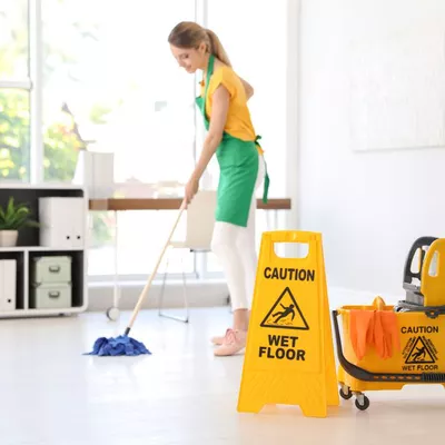Immaculate House Cleaning ?