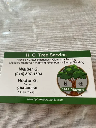 Maxi Tree service