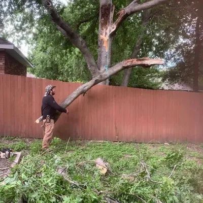 Escuadra Lawn & Tree Services