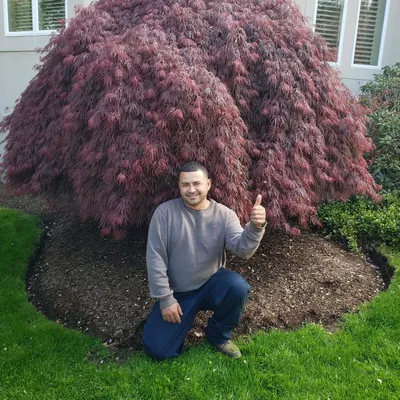 Lopez Landscaping Full Services
