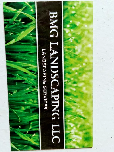 BMG LANDSCAPING LLC