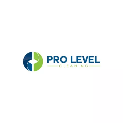 pro level cleaning