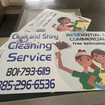 Clean and shiny LLC