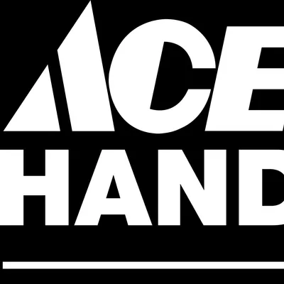 Ace Handyman Grand Rapids SE