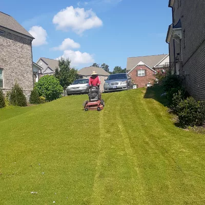 Mr Landscaping