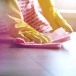 CleanServ D'Rosa