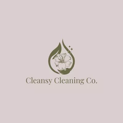 Cleansy Cleaning Co.