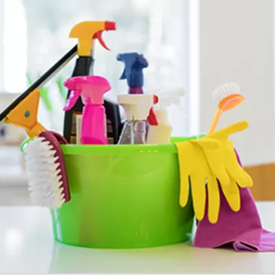 Lucy house cleaning