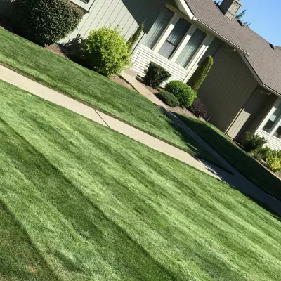 Green Thumb Landscaping