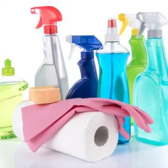Rose Mendes Cleaning