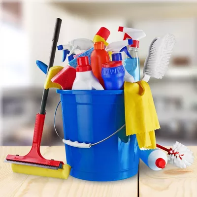 Cleaning Perfectionist LLC