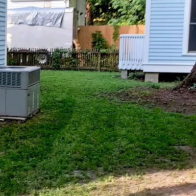 The Greener Side