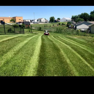 Grass monkey lawncare