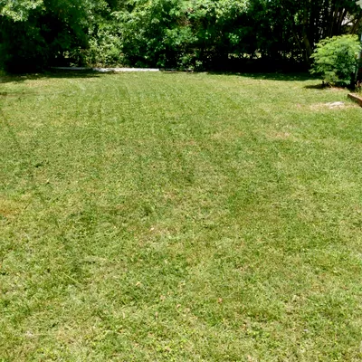 Freshcutlandscaping