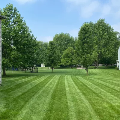 Clean Cut Lawn Care