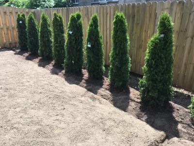 Landscaping Image LLC