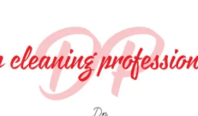 Dp cleaning professionals LLC