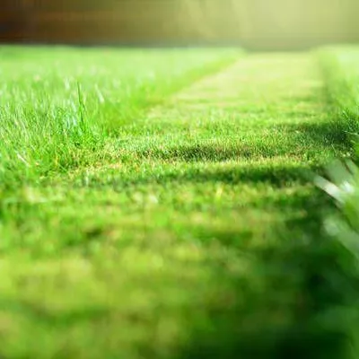 GreenRich Landscaping