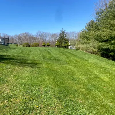 M&J Landscaping and Lawncare