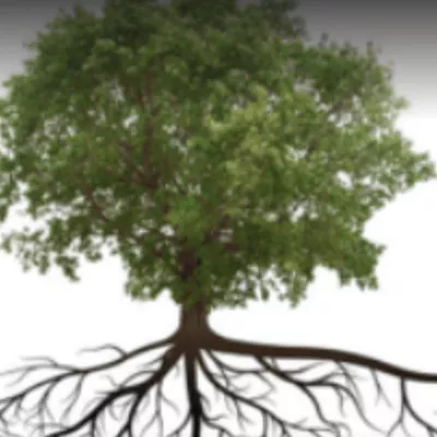JCD Landscaping LLC
