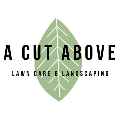 A Cut Above