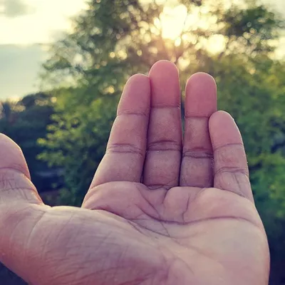 Helping Hands