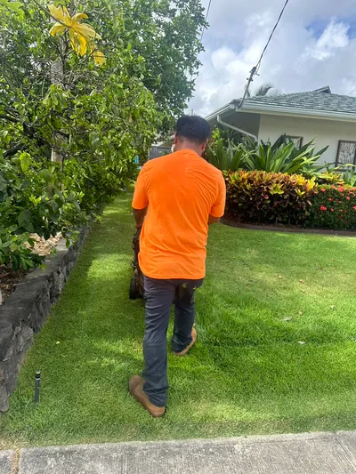 EddiemarViernes yard service