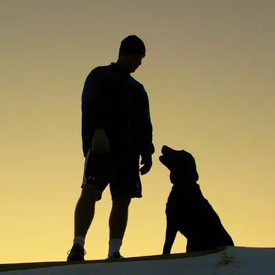Man’s Best friend lawn care