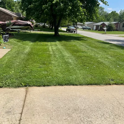 Grassblasters lawn and landscape