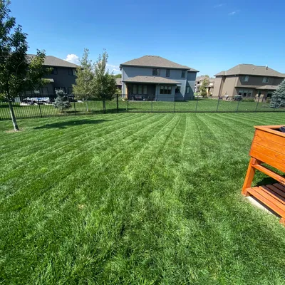 Rocha Landscaping