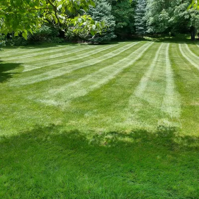 Martinez Landscaping